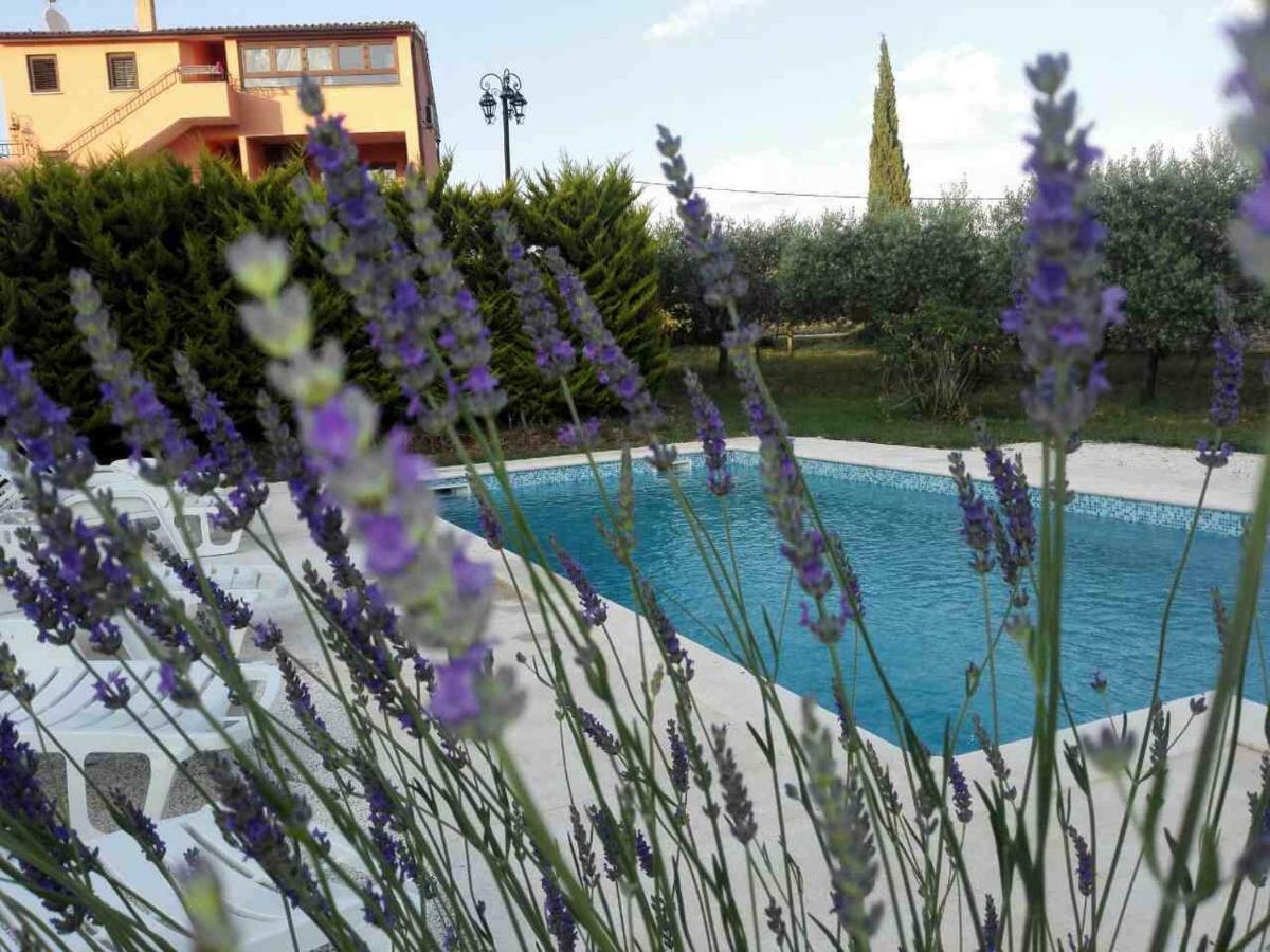 Apartment Rojnic Galizana Ngoại thất bức ảnh